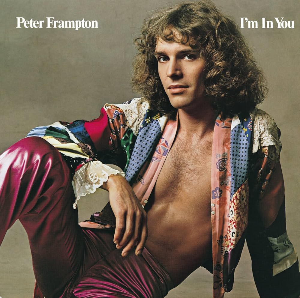 I'm In You - Peter Frampton | LP