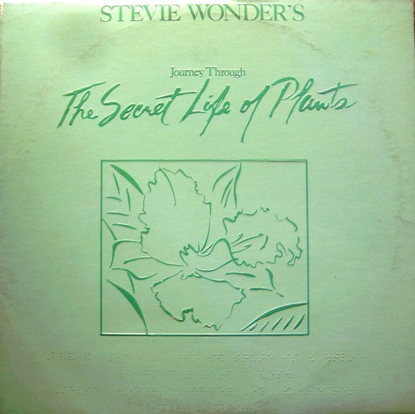 Looking Back | Stevie Wonder