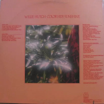 Color Her Sunshine - Willie Hutch | LP