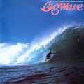 Big Wave (Import/JP) - tatsuro yamashita | Vinyl Record