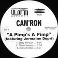 A Pimp's A Pimp / Stand Up - Cam'ron; Jermaine Dupri; Charli Baltimore; Ghostface Killah | Vinyl Record