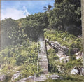 Haram Instrumentals - Armand Hammer; Alchemist | Vinyl Record