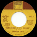 Mercy Mercy Me (The Ecology) - Marvin Gaye | Vinyl Record