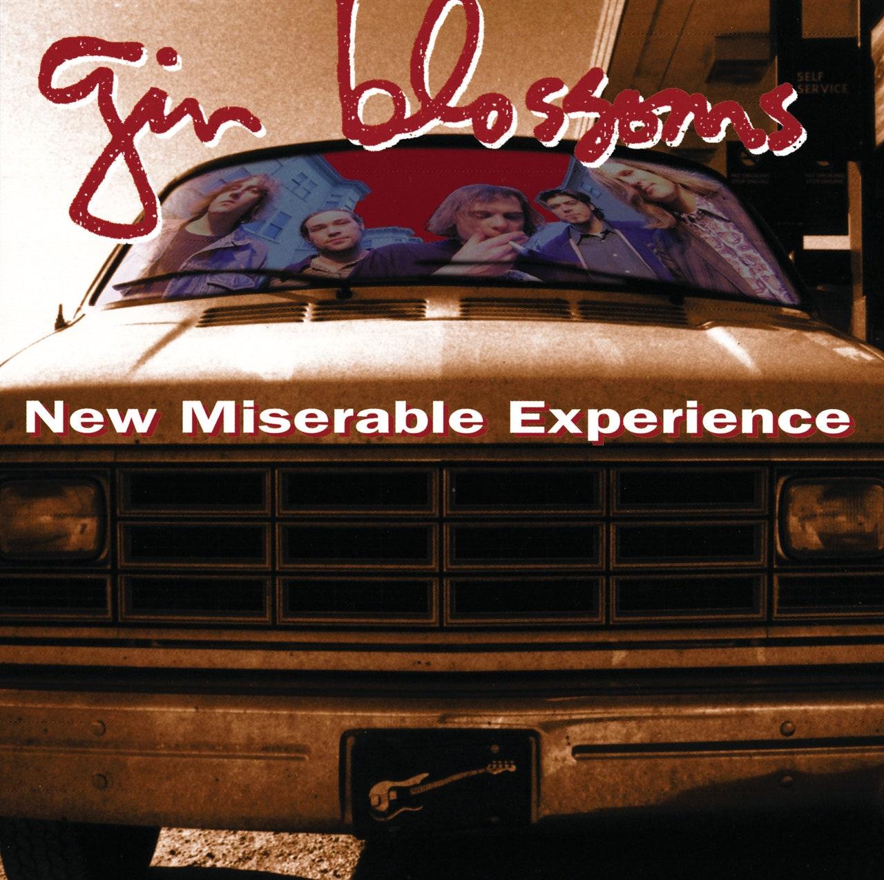 New Miserable Experience - Gin Blossoms | CD