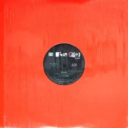 On The Shelf - The Brooklyn, Bronx & Queens Band | LP