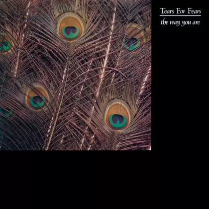 The Way You Are - Tears for Fears | Vinyl Record