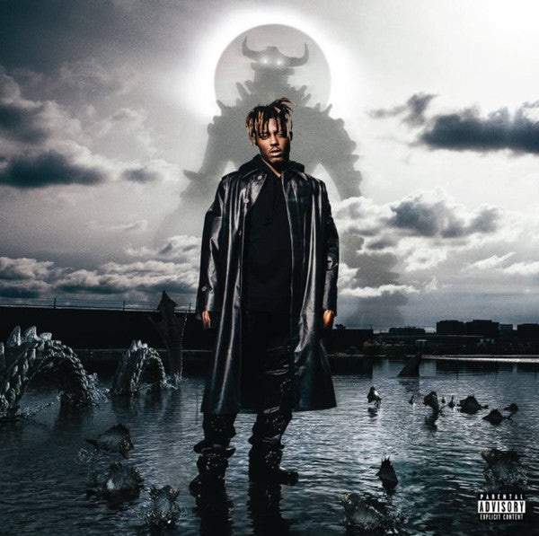 Fighting Demons - Juice WRLD | Vinyl Record