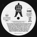 Punish Me - Big Punisher | Vinyl Record
