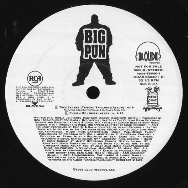 Punish Me - Big Punisher | Vinyl Record
