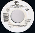 Anotherloverholenyohead / Mountains - Prince and The Revolution | Vinyl Record