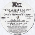 The World I Know (Country Livin') / Sellin' D.O.P.E. - Goodie Mob; Esthero; dead prez | Vinyl Record