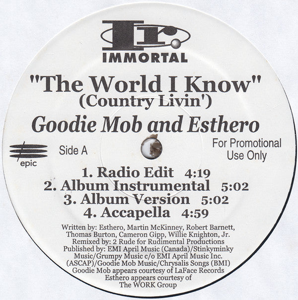 The World I Know (Country Livin') / Sellin' D.O.P.E. - Goodie Mob; Esthero; dead prez | Vinyl Record