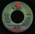 Never, Never Gonna Give Ya Up - Barry White | Vinyl Record