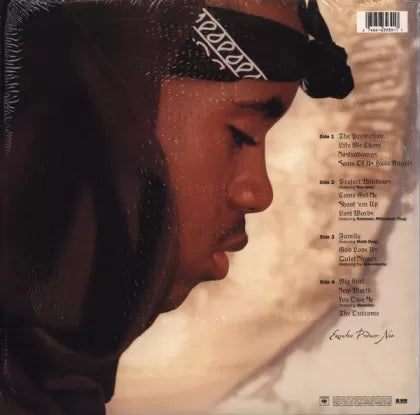 Nastradamus - Nas LP | LP