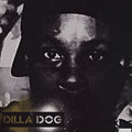 Dillatroit - J Dilla | Vinyl Record