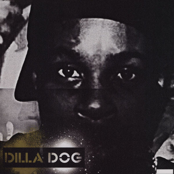 Dillatroit - J Dilla | Vinyl Record