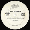 Say It's Gonna Rain - Will To Power | Vinyl Record