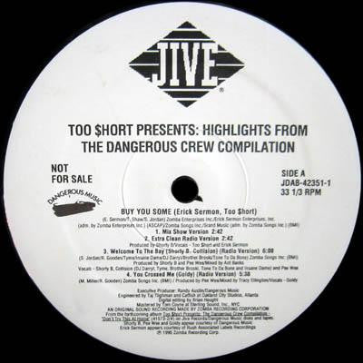 Don't Try This At Home - The Dangerous Crew | Vinyl Record