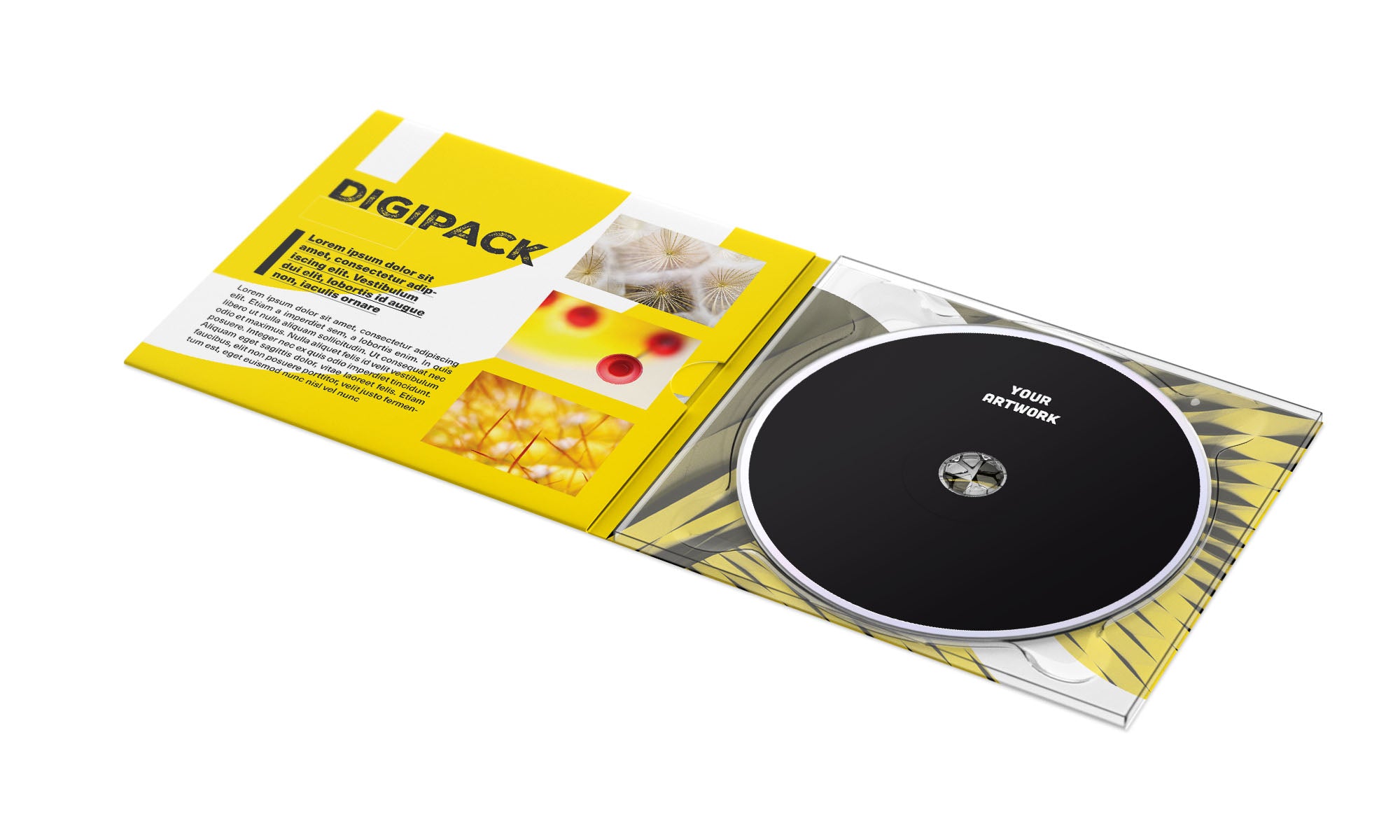 CDs DIY No Label Press