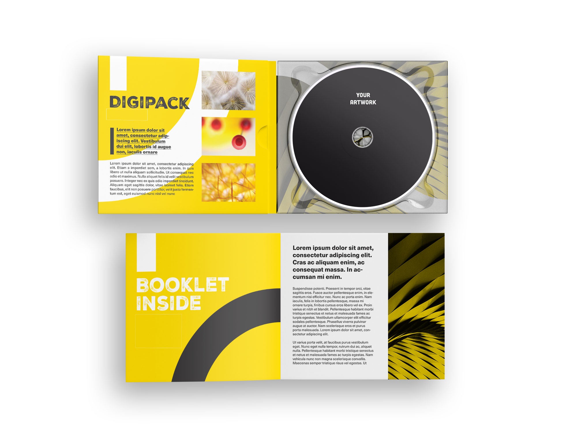 CDs DIY No Label Press