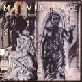 Here, My Dear. | Marvin Gaye