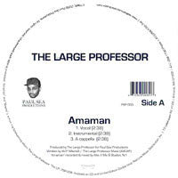 Amaman / Bowne | Large Professor