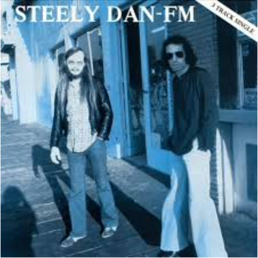FM - Steely Dan | Vinyl Record
