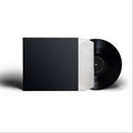 Vinyl DIY No Label Press (Black Vinyl) - 1000
