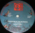Freedom In The Morning - Gerry Oniel | Vinyl Record