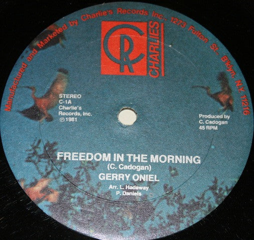 Freedom In The Morning - Gerry Oniel | Vinyl Record