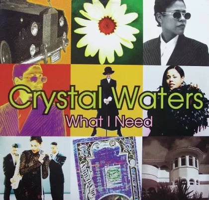 What I Need - Crystal Waters | Vinyl Record