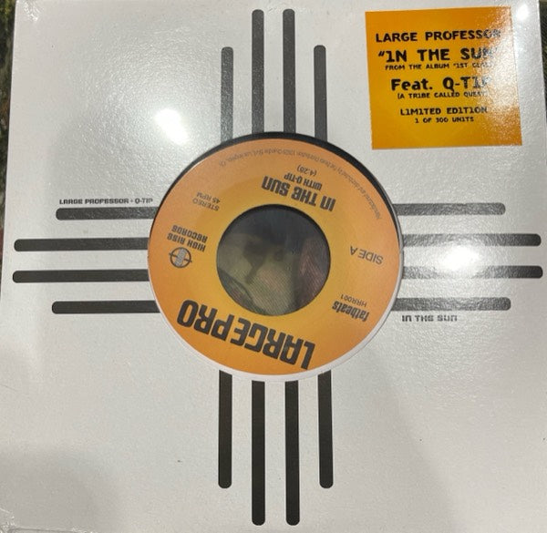 In The Sun - Large Professor | Vinyl Record