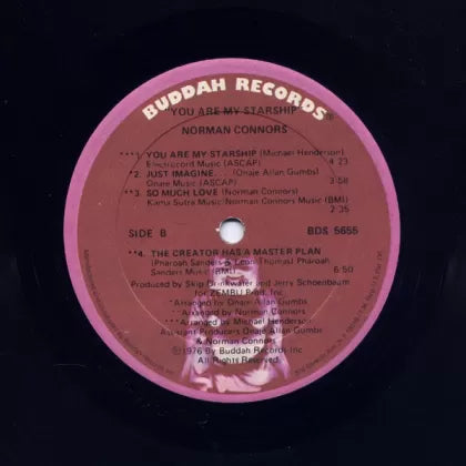 You Are My Starship - Norman Connors | Vinyl Record