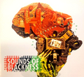 The Evolution Of Gospel - Sounds of Blackness | CD