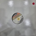 Change The Style - Son Of Bazerk; No Self Control And The Band | Vinyl Record