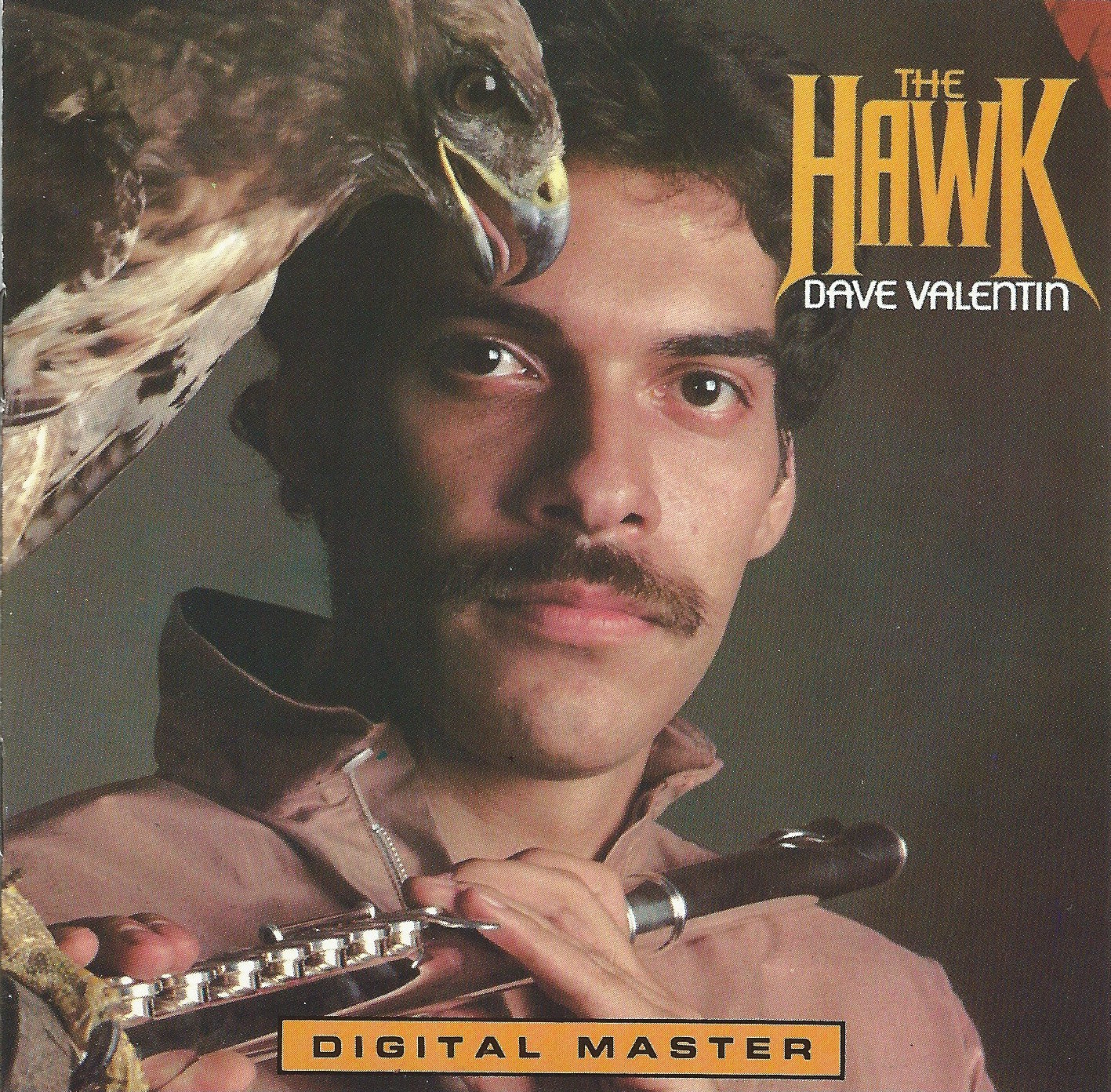 The Hawk | Dave Valentin
