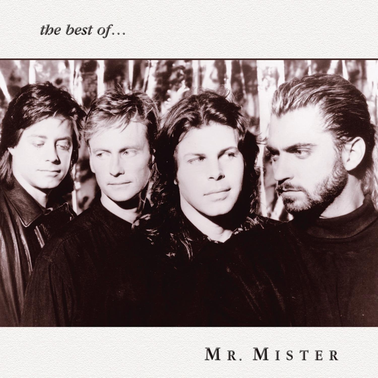 Is It Love | Mr. Mister